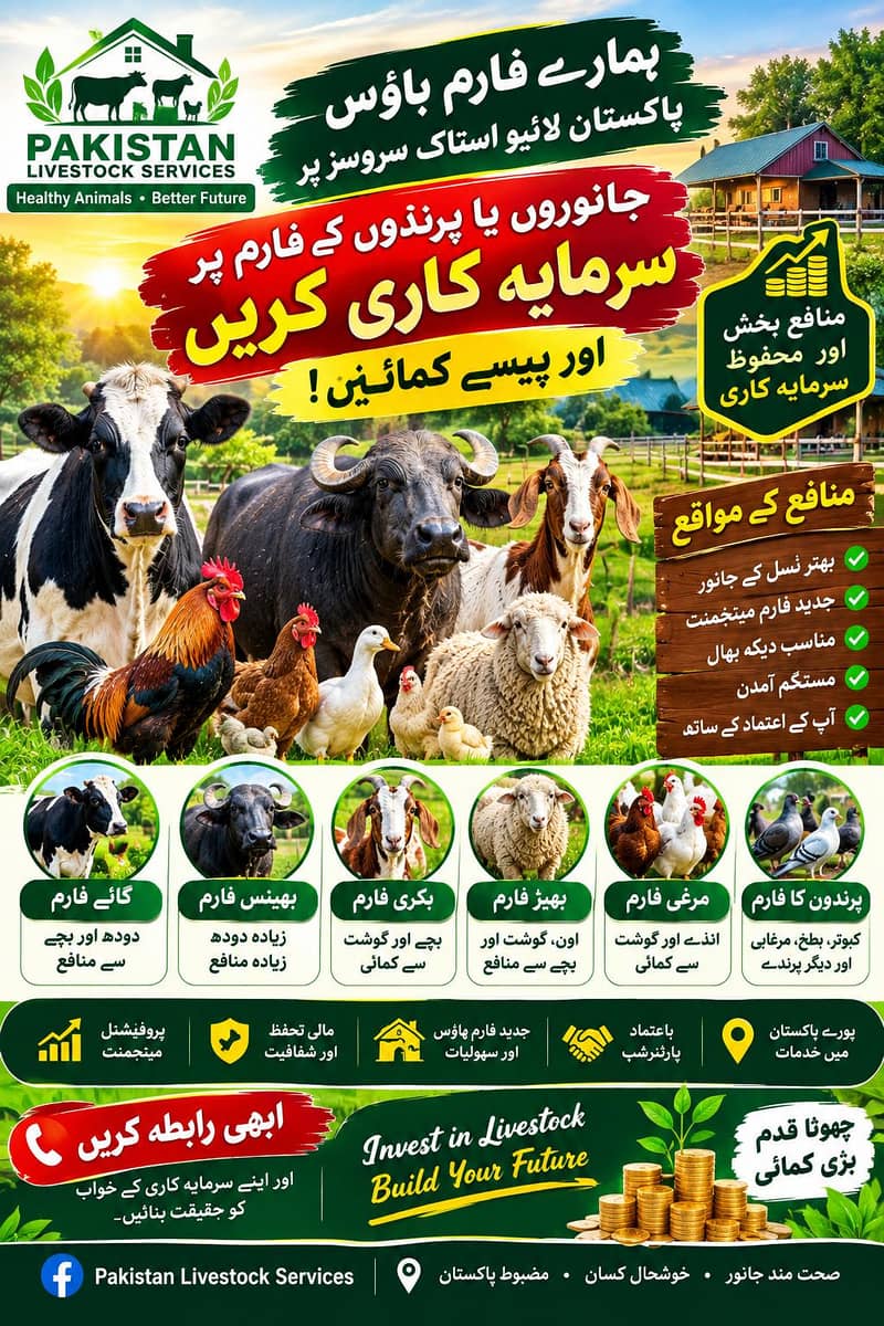 حصہ داری پر جانور پالنے کی سہولت 1