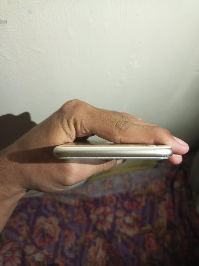 Apple iPhone 6S Plus 1