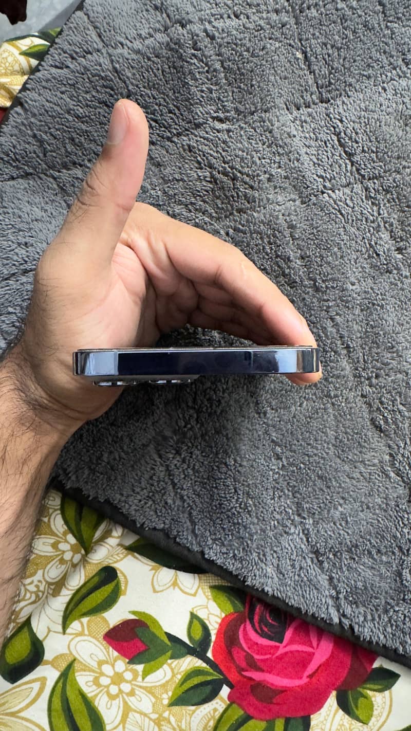 Apple iPhone 13 Pro Max 1