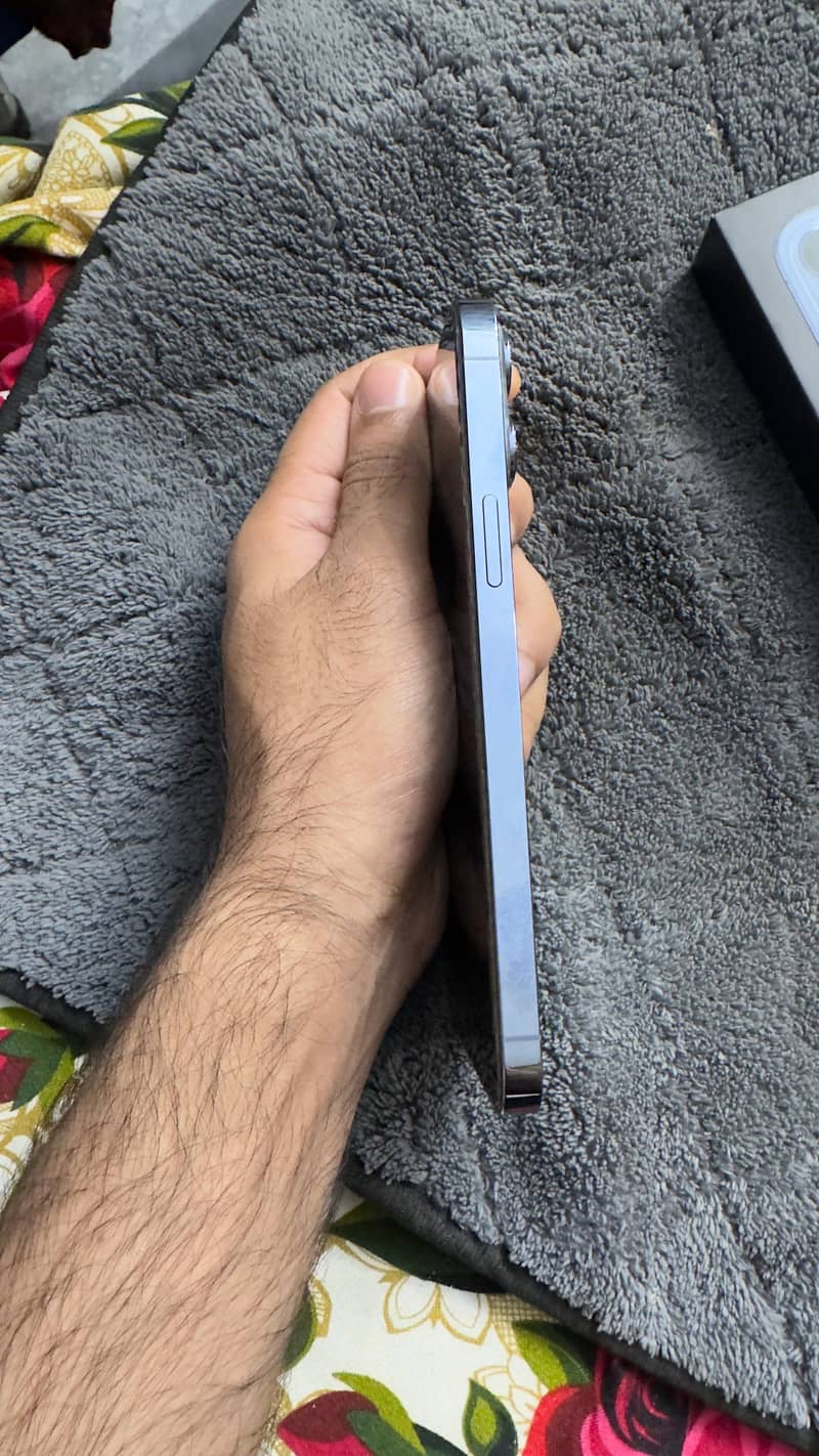 Apple iPhone 13 Pro Max 2
