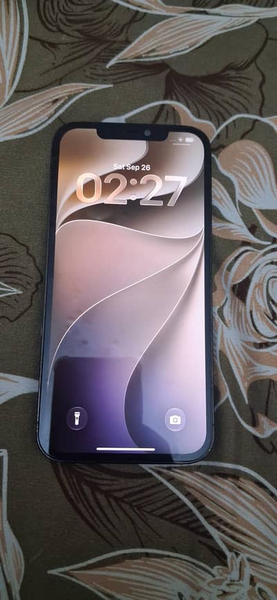Apple iPhone 12 Pro Max
