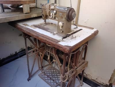 Piku Machine saadi