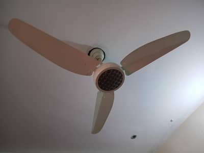 urgent sale 2 fan hai condition 10 by 9 pure copper