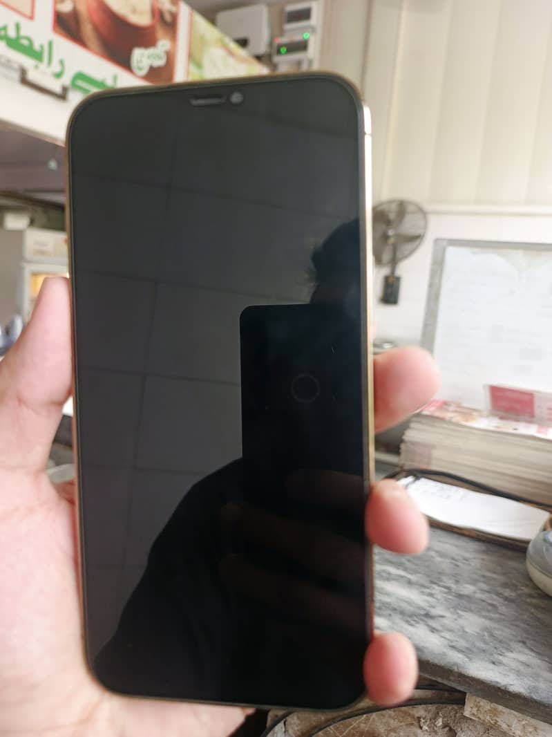 iphone 12 pro Max 1