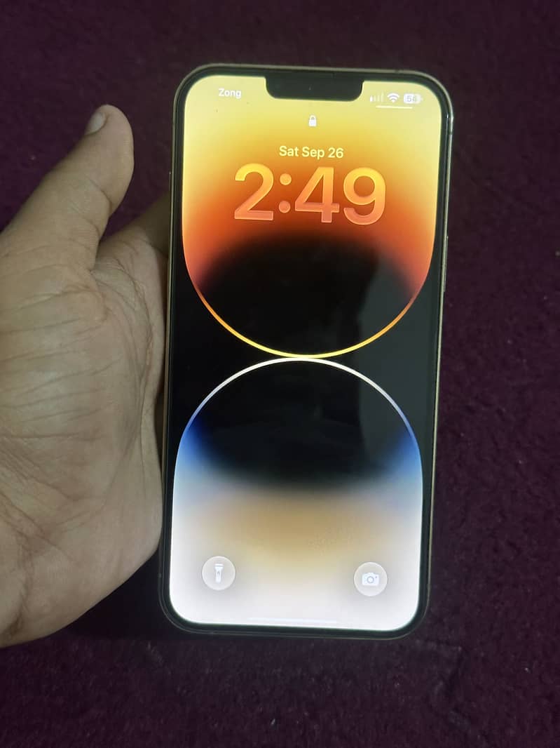 iPhone 13 Pro Max 1