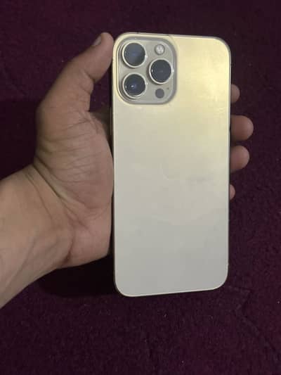 iPhone 13 Pro Max