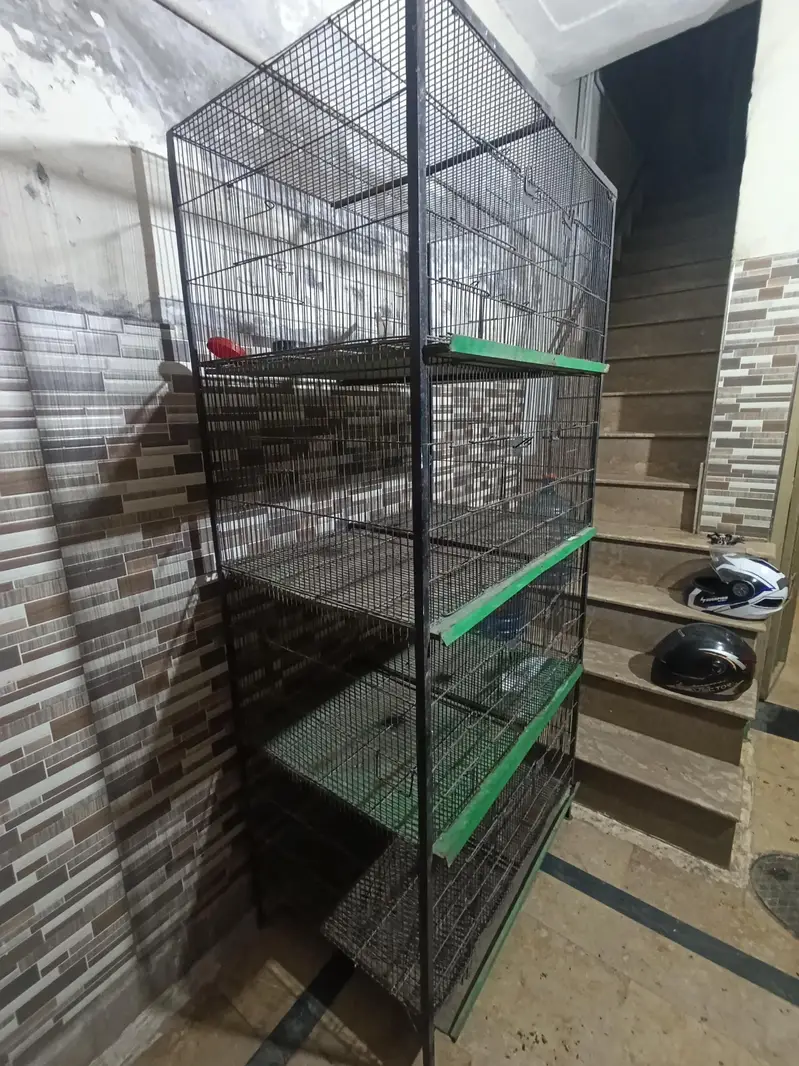 birds cage 6 portion — photo 2