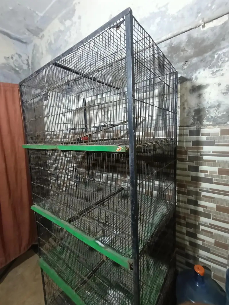 birds cage 6 portion — photo 5