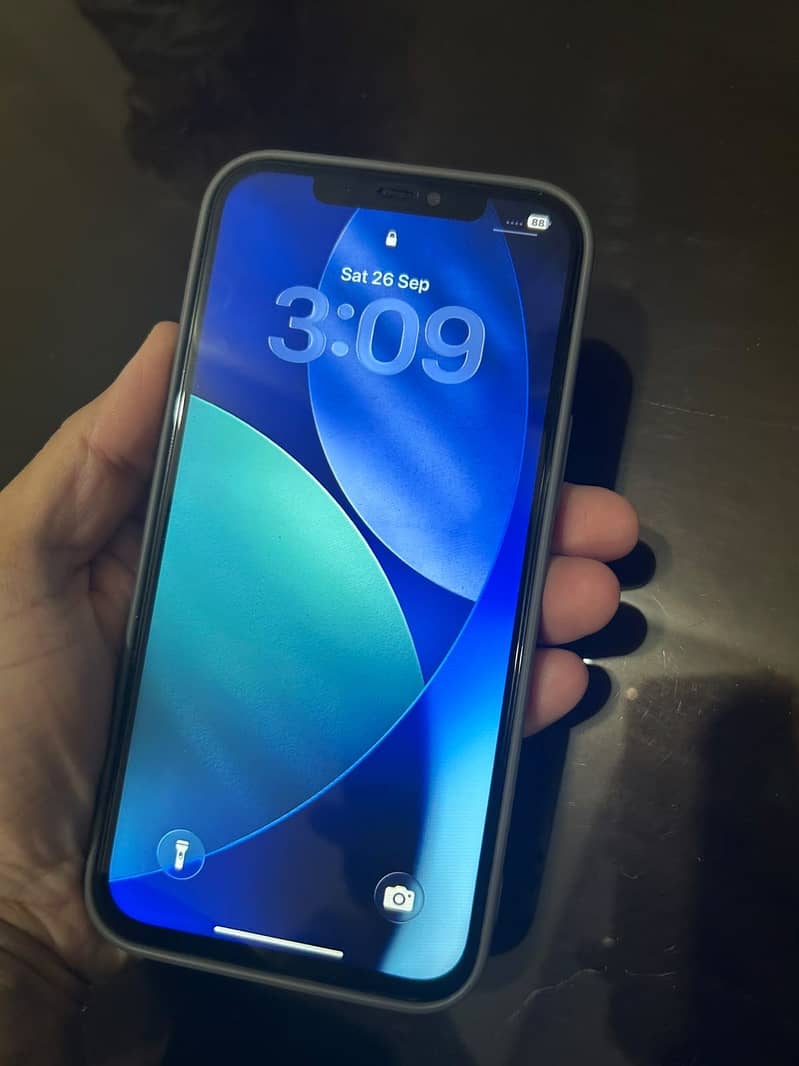 Apple iPhone 12 Pro Max 1