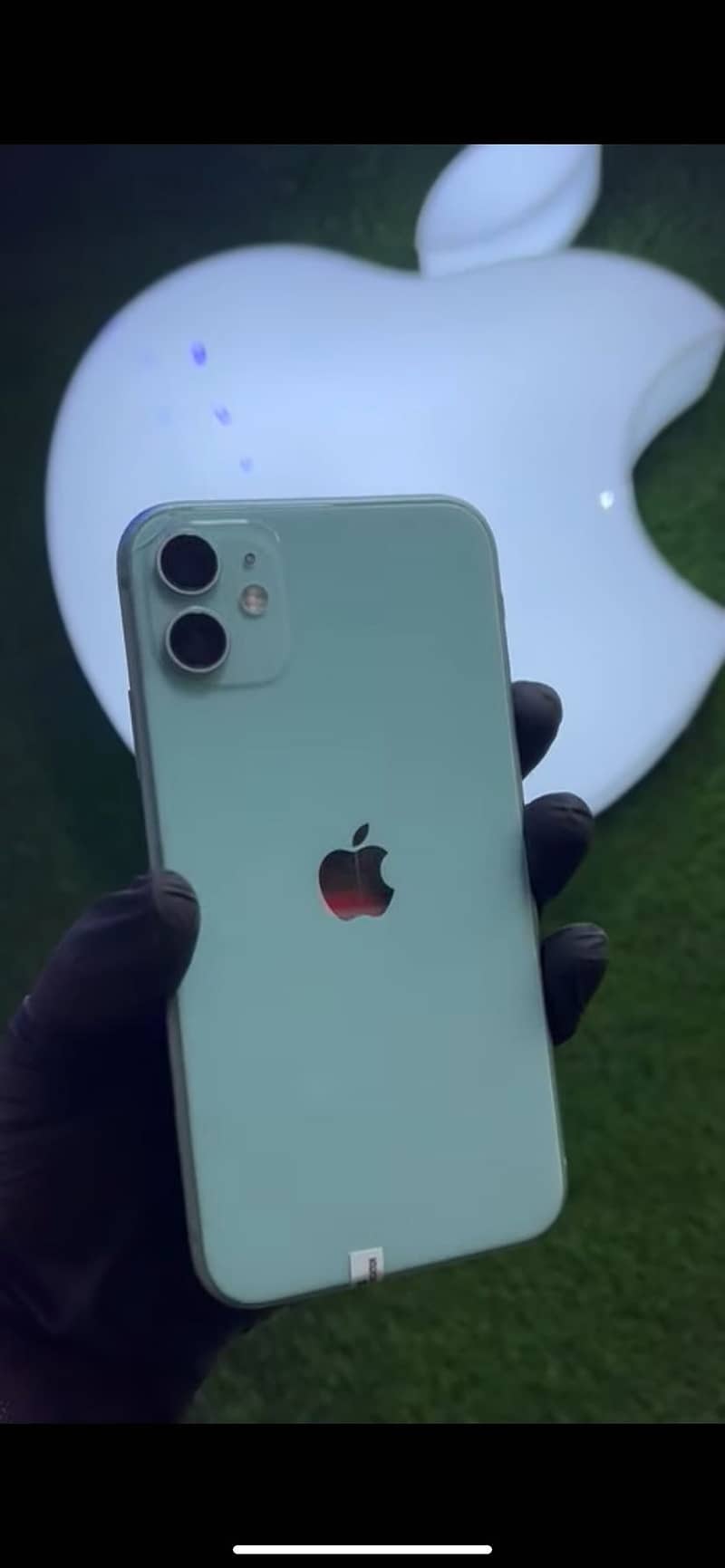 Apple iPhone 11 0