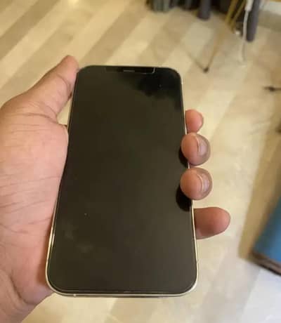 Apple iPhone 12 Pro