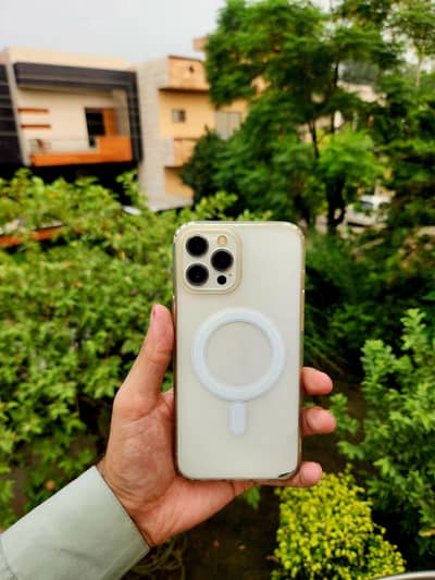 IPhone 12 Pro Max 256 JV Exellent Condition For Sale & Exchanged