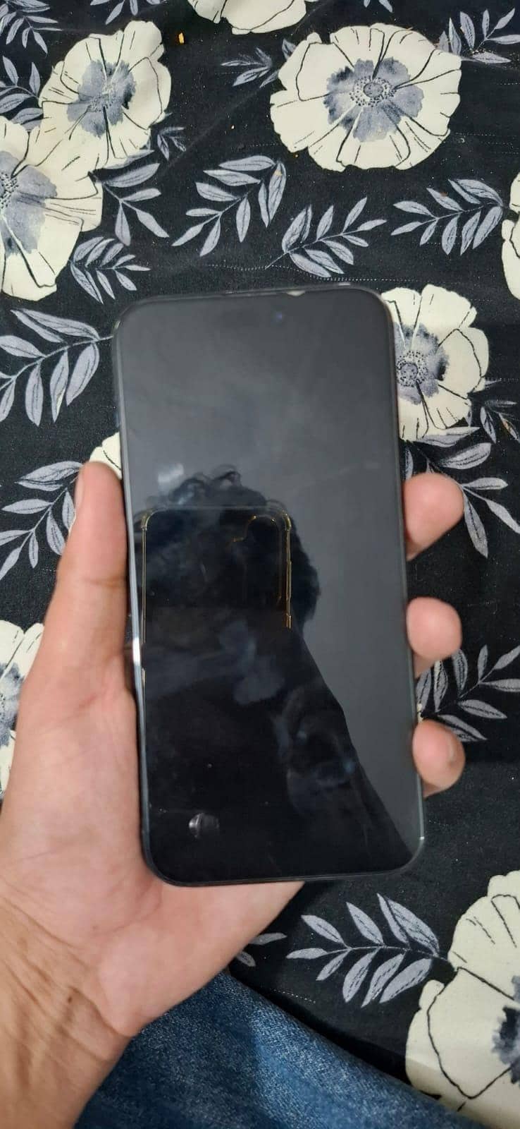Apple iPhone 15 Pro Max 1