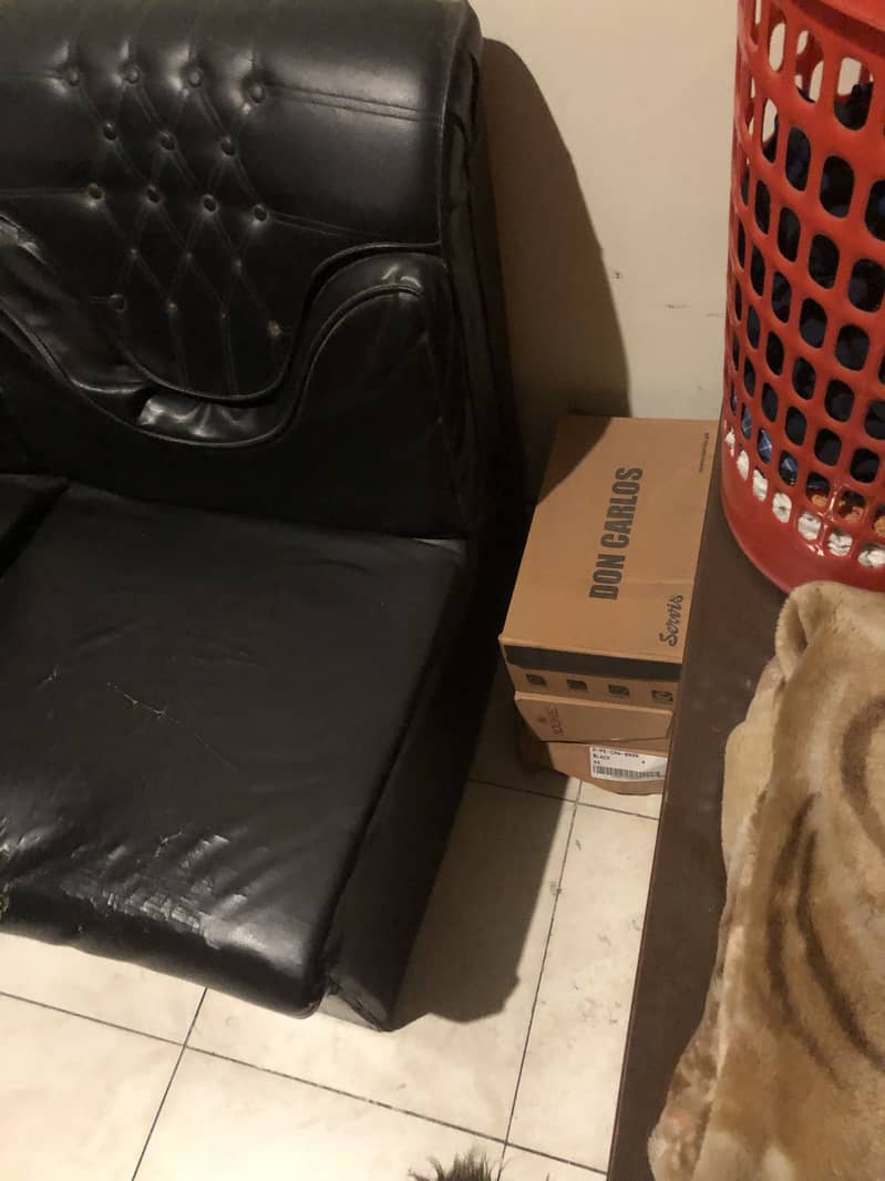 2 Single Sofa 4