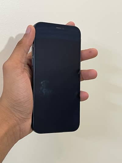 Apple iPhone 12