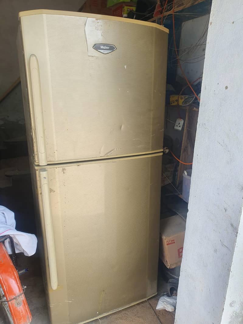 fridge 1