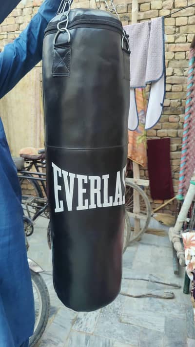 Everlast Punching Bag / No Use