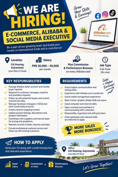 E-Commerce, Alibaba & Social Media Executive