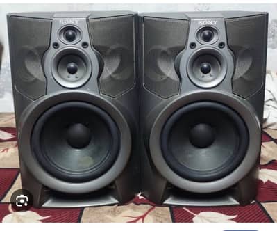 Sony GR8 Audio system