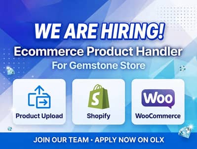 Ecommerce Product Handler/uploader required
