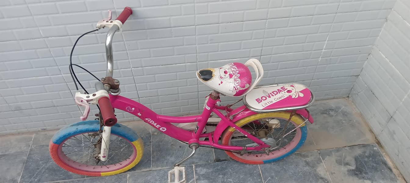use bycycle 1