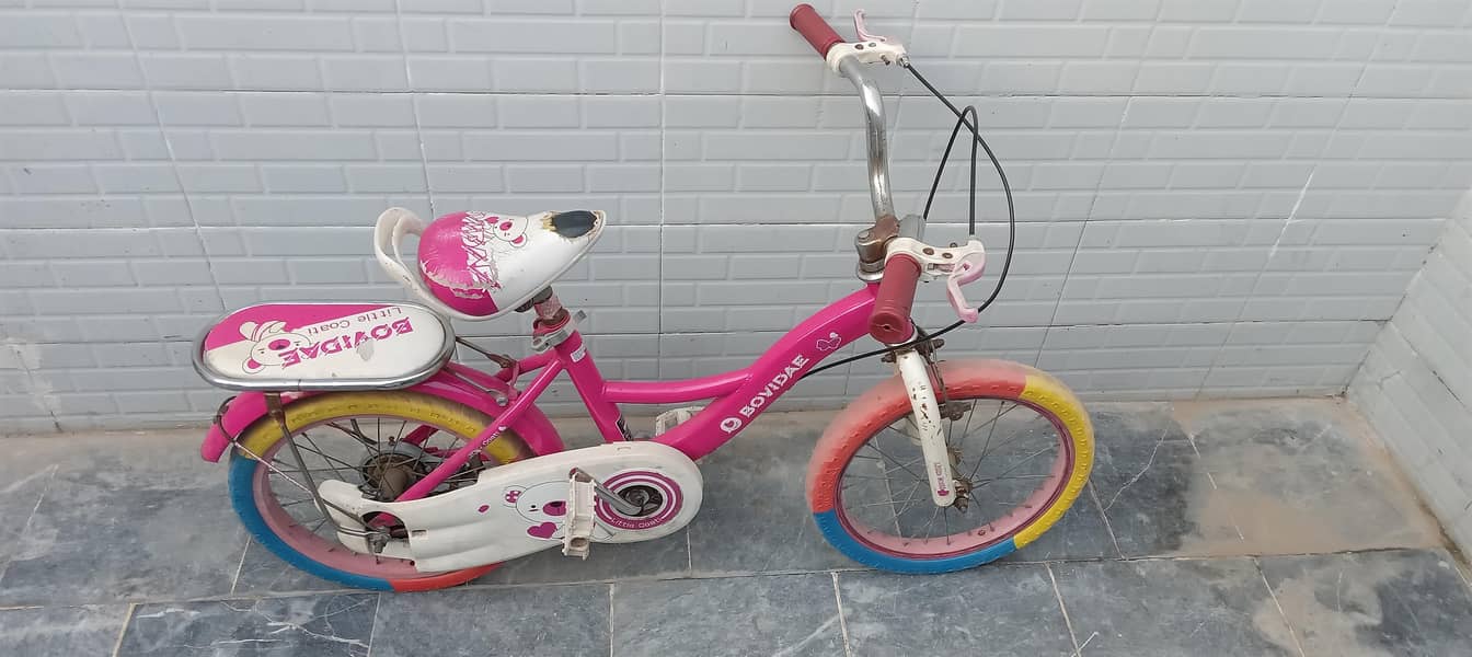 use bycycle 3