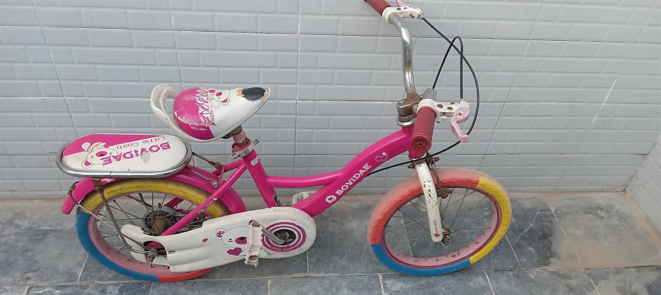 use bycycle 4