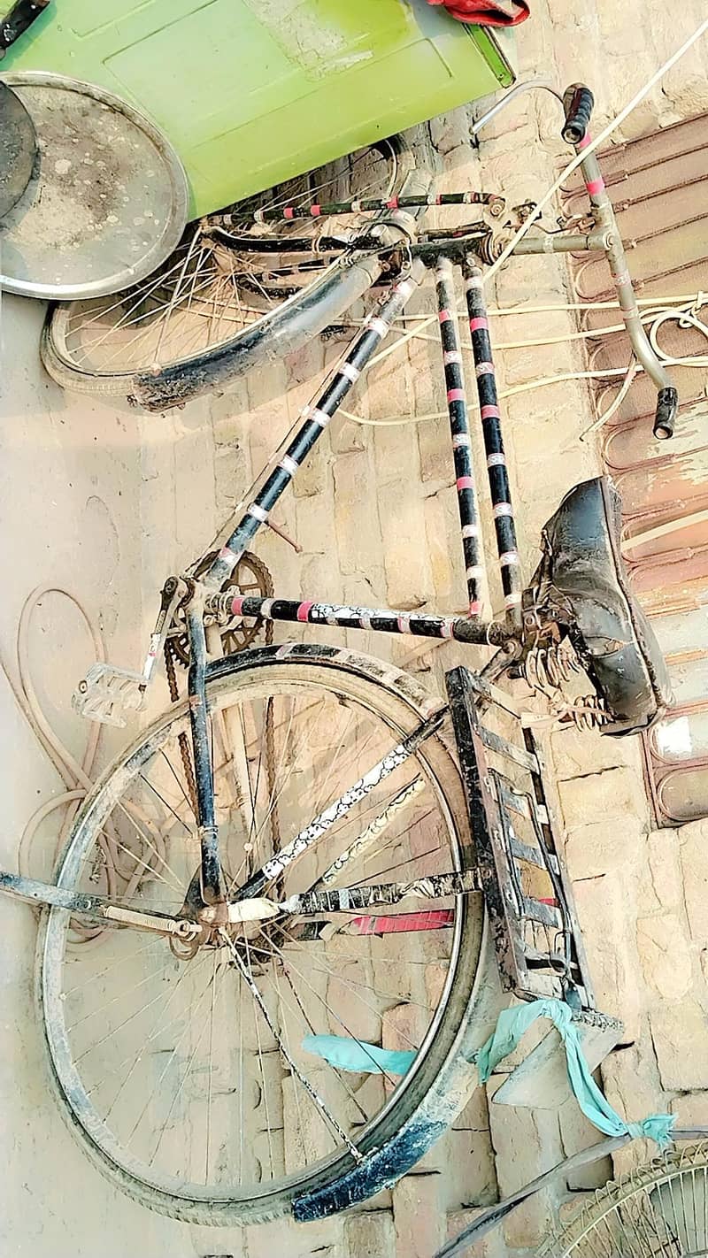 bicycle 2