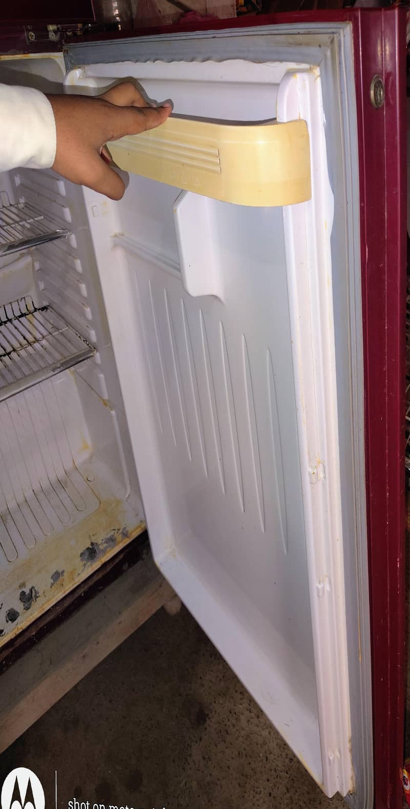 freezer 6