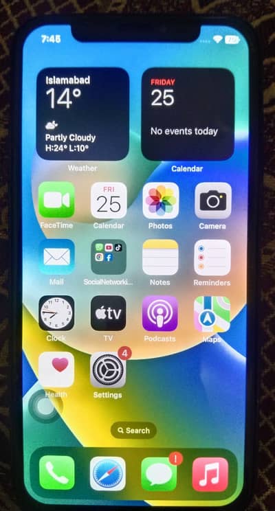 Apple iPhone X