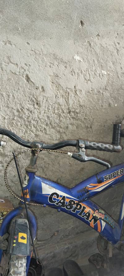 FOR SALE
