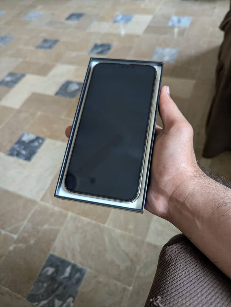 Apple iPhone 13 Pro Max 0