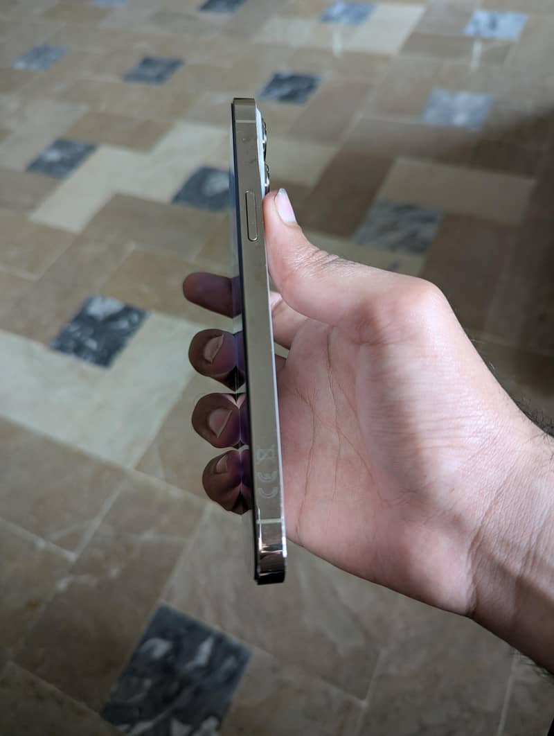 Apple iPhone 13 Pro Max 1