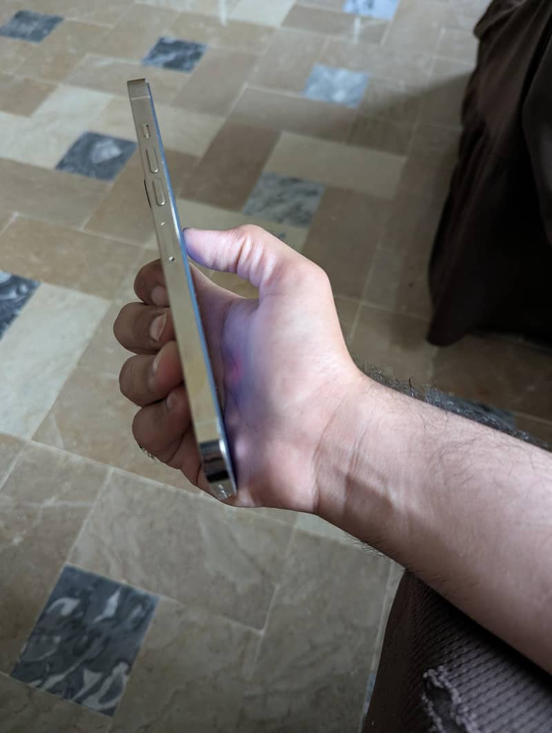 Apple iPhone 13 Pro Max 3