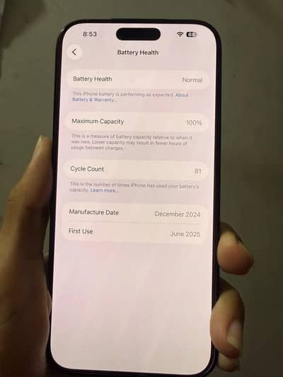 Apple iPhone 16 Pro Max 100 Health