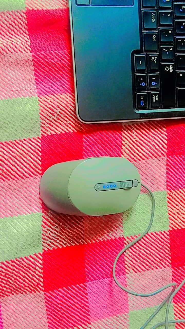 Dell. 12