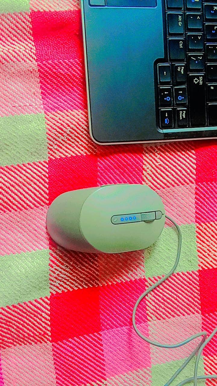 Dell. 13