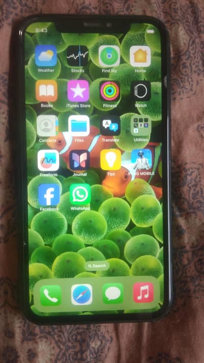 iPhone xr