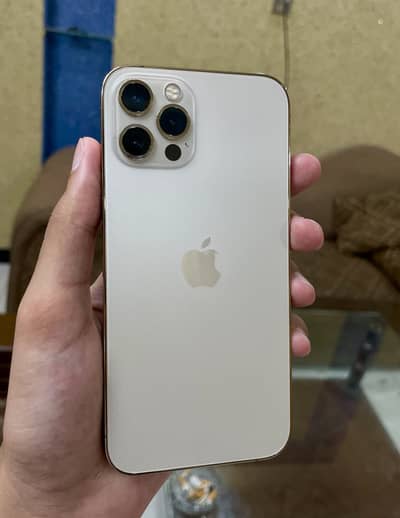 iPhone 12 Pro jv (Lush Conndition)