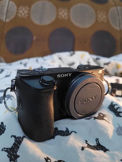 Sony a6500 with 2 battery dual charger