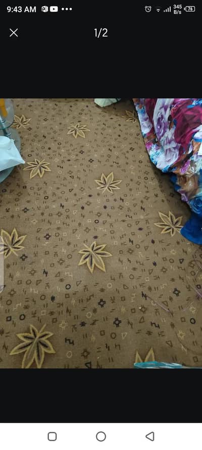 carpet