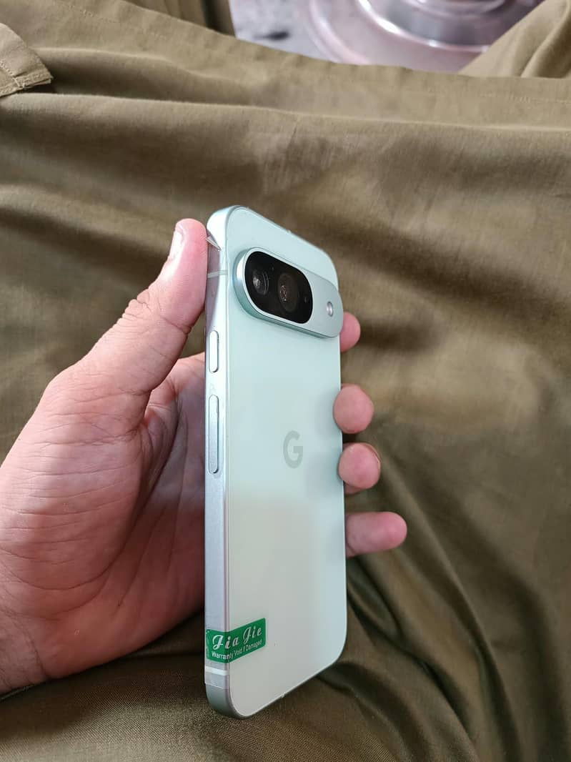 Google Pixel 9 1