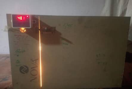 Incubator hen
