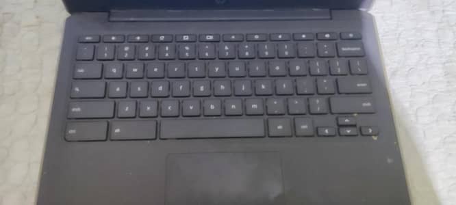laptop crome book original hp