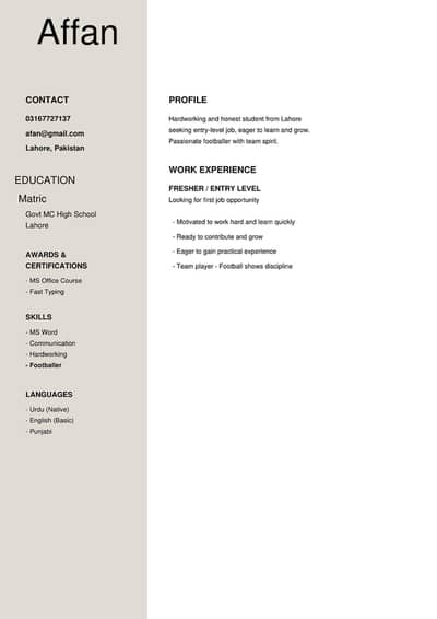 CV RESUME MAKING SERVICES FAST DELIVERY