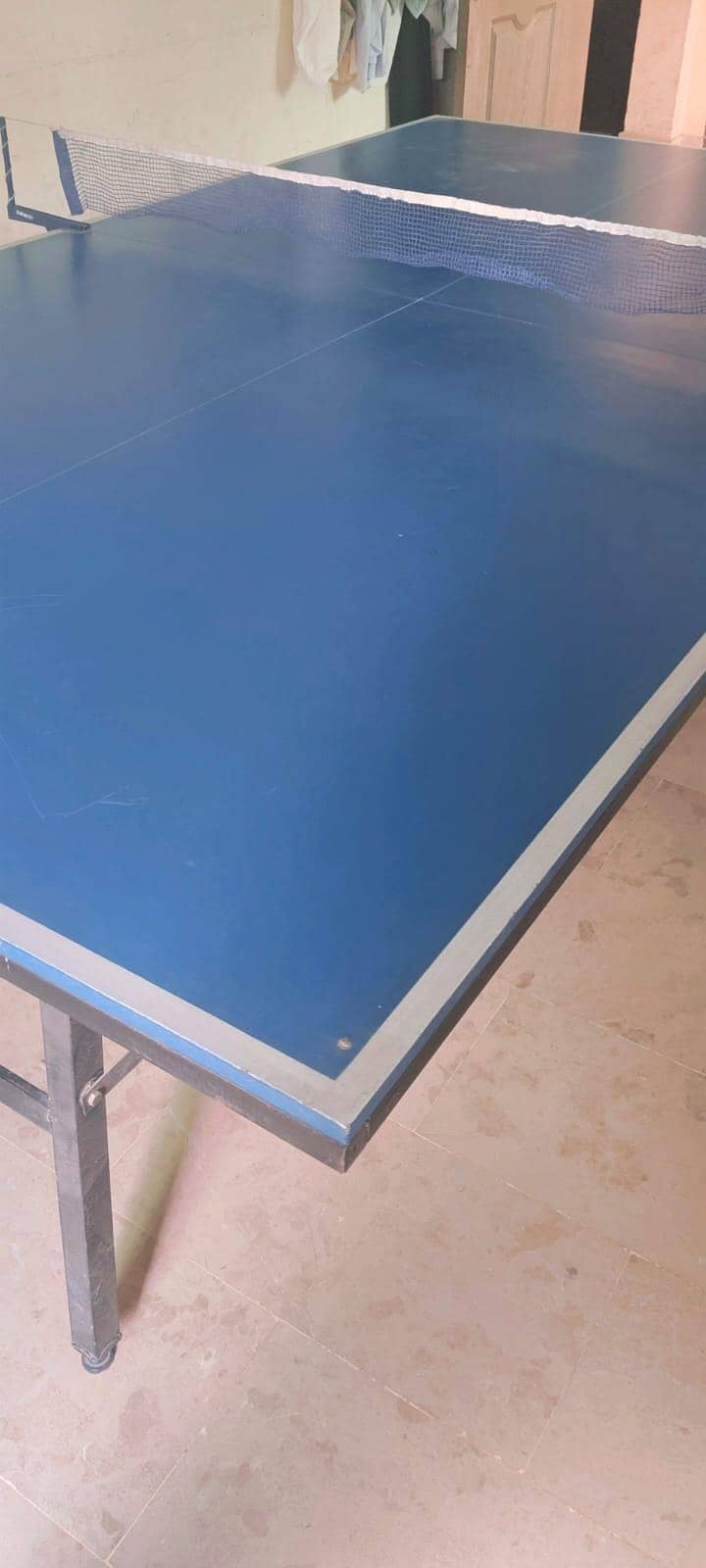 Table Tennis Table/ping pong table 0