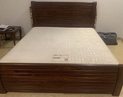 KING Size BED with MASTER Molty Ortho Mattress