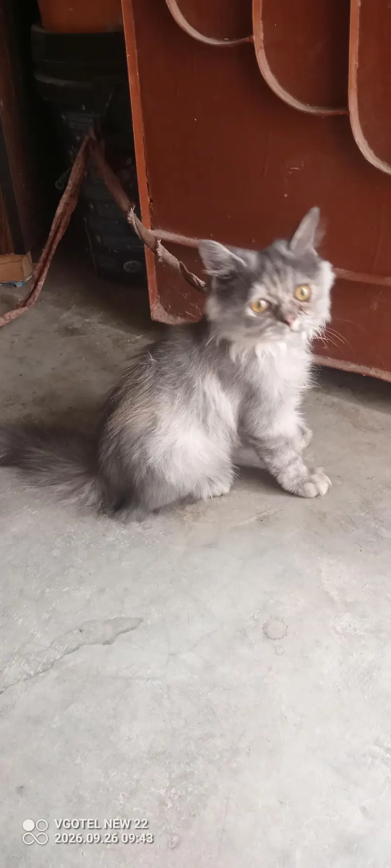 bili hai — photo 2