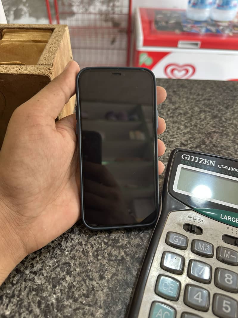 Apple iPhone 12 1