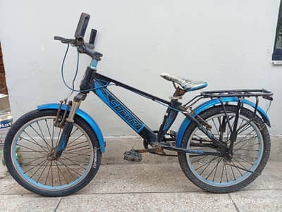 Bicycle for 8 year and above